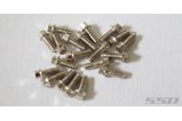 Silver M2 Scale Hex Bolts - SSD369 Image